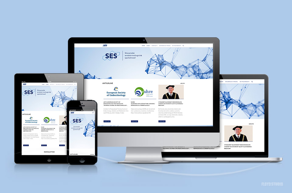 SES logo redesign and new website ENDO.sk - ENDO.sk 